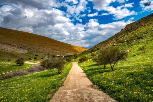 الطقس: انخفاض آخر على الحرارة وأمطار على معظم المناطق