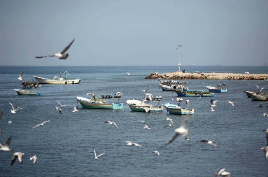 الطقس: حالة من عدم الاستقرار الجوي تؤثر على فلسطين اليوم