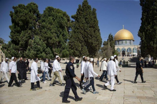اقتحامات واسعة من قبل المستوطنين للمسجد الاقصى