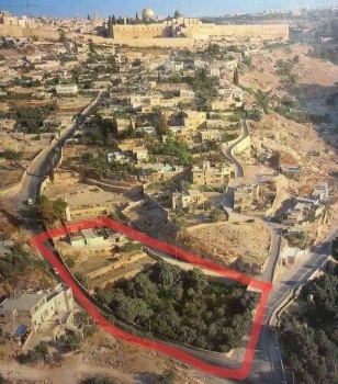 مستوطنون يستولون على ارض الحمرا في سلوان بالقدس والشرطة تعتقل ثلاثة مواطنين