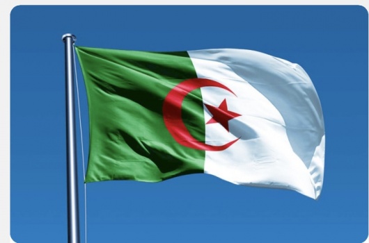 الجزائر.. بعد بيع لحوم القطط على أساس أنها أرانب