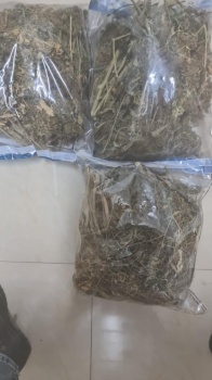 الشرطة تضبط 2 كغم من المخدرات في الخليل