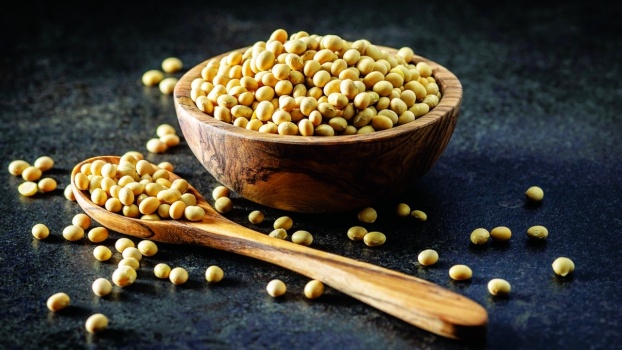 الصويا يخفض الكوليسترول 70 %