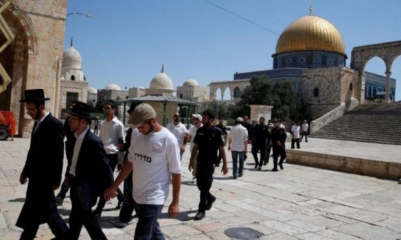 بعد فرض قيود مشددة على المصلين.. عشرات المستوطنين يقتحمون الأقصى