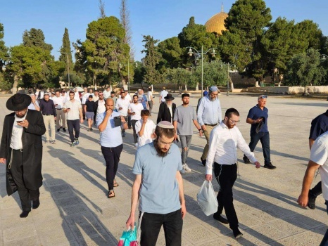 مستوطنون يقتحمون الأقصى بحجة ما يسمى "عيد الأسابيع"