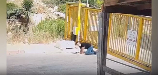 فيديو..الاحتلال يحقق في نجاح فلسطيني بالتسلل لمستوطنة في الخليل
