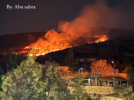 الخارجية تطالب بتدخل أمريكي عاجل لمنع الانفجار الذي يحضر له غلاة المتطرفين