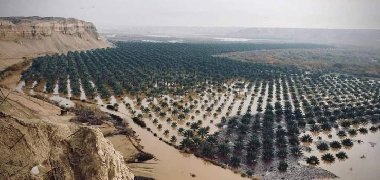 طرق وفنادق ومطار.. مخطط المستوطنين للسيطرة على غور الأردن