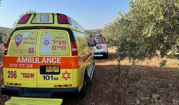 فاجعة...مقتل شقيقين بجريمة إطلاق نار في قرية أبو سنان بالجليل
