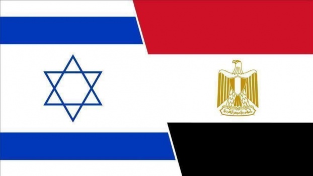 مصر تعلن عزمها دعم دعوى جنوب أفريقيا ضد إسرائيل أمام "العدل الدولية"