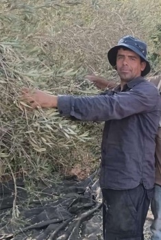 استشهاد مواطن برصاص مستعمر في بلدة الساوية جنوب نابلس