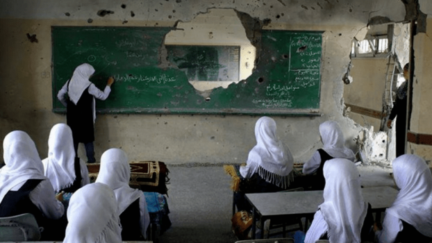 في يوم المعلم الفلسطيني: أكثر من 200 شهيد وعشرات المعتقلين من الكوادر التعليمية