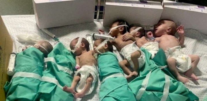 مسؤول أممي: لم يعد ثمة "مواليد بحجم طبيعي" في قطاع غزة
