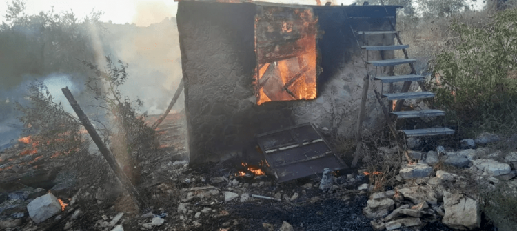 مستوطنون يُحرقون غرفة زراعية في قرية ظهر العبد غرب جنين