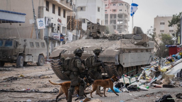 هولندا تصدّر كلابًا عسكرية تُستخدم بتعذيب الفلسطينيين