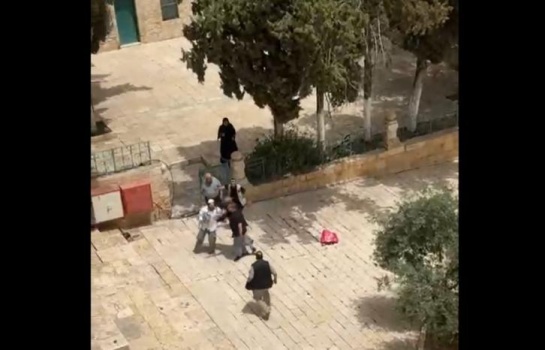 فيديو...احباط محاولة مستوطنين ذبح "قربان" في الأقصى