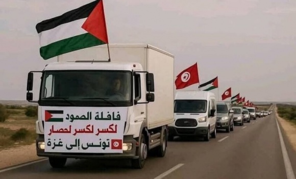 موقع عبري: أوامر إسرائيلية بمنع دخول متظاهرين من مصر إلى غزة ومصر تصدر بياناً رسمياً بشأن “قافلة الصمود”