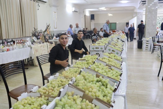 "عنب جنين" .. مواجهةٌ مفتوحة مع إجراءات الاحتلال وصعوبات التسويق وارتفاع أسعار مُدخلات الانتاج