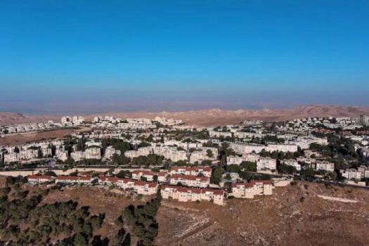 80 منظمة دولية تطالب بإنهاء التجارة مع المستوطنات الإسرائيلية في الأراضي الفلسطينية