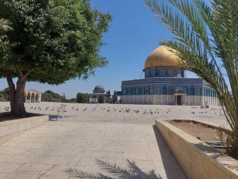 الأقصى مغلق منذ 40 يومًا وتحذيرات من إعادة فتحه بشروط تُقيد دخول المصلين