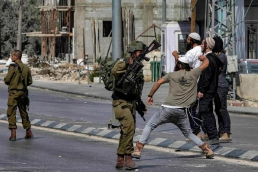 الأمم المتحدة: تصاعد عنف المستوطنين في الأراضي الفلسطينية إلى مستويات غير مسبوقة خلال 2026