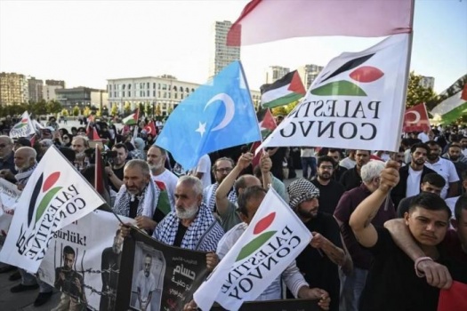 من سربرنيتسا إلى إسطنبول.. "قافلة فلسطين" البرية تواصل طريقها لكسر حصار غزة