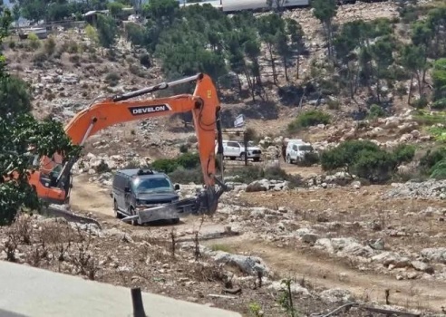 الاحتلال يصدر أمرين عسكريين بإزالة أشجار على مساحة 307 دونمات في جنين