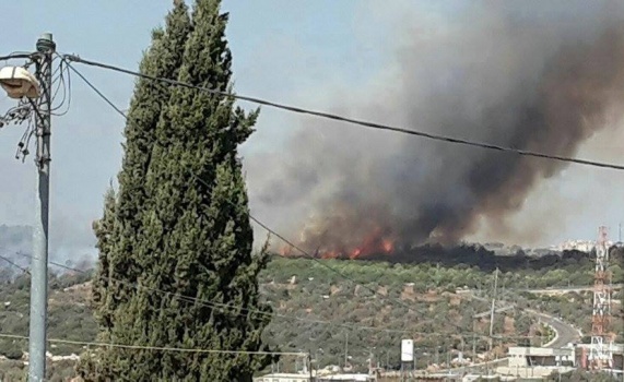 بالصور..نشوب حريق بمئات اشجار الزيتون واللوزيات جنوب غرب جنين