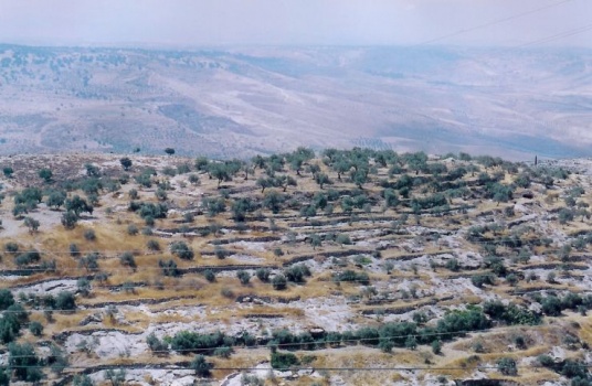 صاروخ اطلق من سوريا يسقط في أراضي الجولان المحتلة