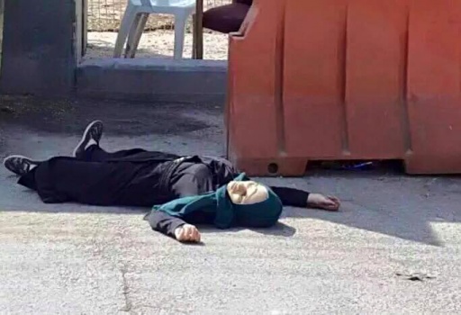 الاحتلال سيسلم جثامين 5 شهداء من الخليل