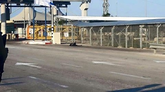 استشهاد فتاة بذريعة محاولة الطعن شرق قلقيلية