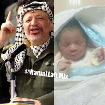 ياسر عرفات يولد من جديد
