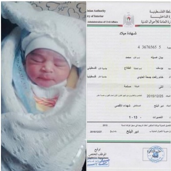 "بيان عسيلة" تتنفس الحياة في غزة