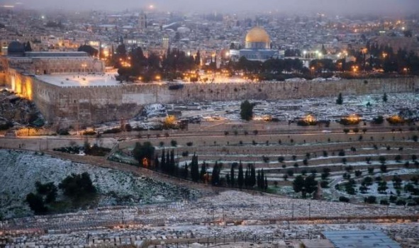 هل سيحل الزائر الأبيض ضيفاً على فلسطين في الايام القادمة؟؟