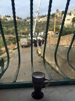 شقيقة الشهيد ابو جمل تتحدى الاحتلال بصورة