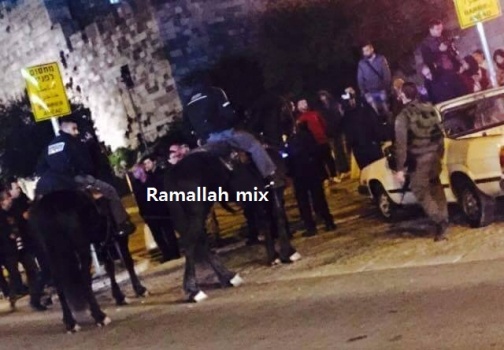 طعن مستوطن في القدس "فيديو"
