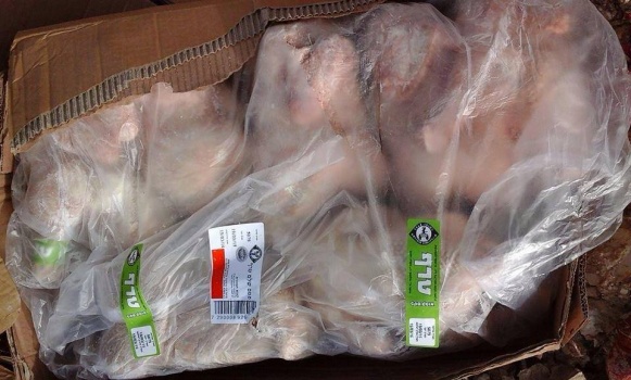 بالصور..إتلاف 150 كغم دجاج لاحم في جنين