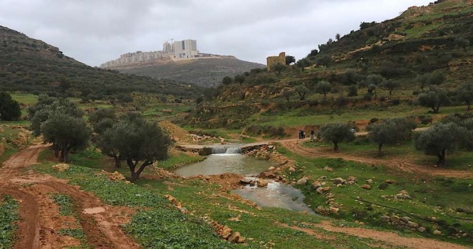 العثور على جثة شاب من المزرعة الغربية غارقا في بركة مياه