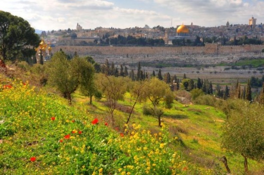 منخفض جوي يؤثر على فلسطين الاحد القادم