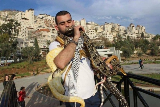 في فلسطين .. لا تتعجب من شيء!