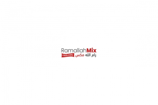 بعد فاجعة المعتمرين .. دعوات لتوفير سائقين احتياطيين بالحافلات