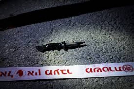 القدس: الاحتلال يعتقل طفلين بزعم حوزتهما سكاكين
