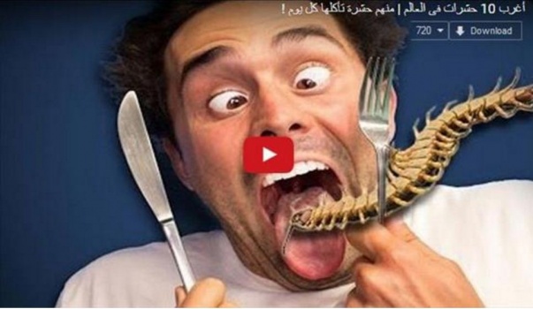فيديو - ما هي الحشرة التي نأكلها يومياً دون ان نعلم؟