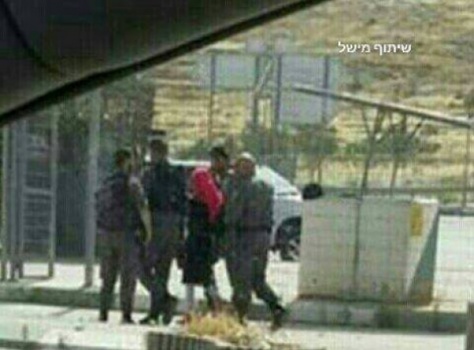 اعتقال فتاة بزعم نيتها تنفيذ عملية طعن جنوب نابلس