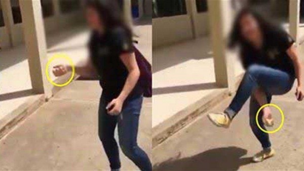 "فيديو"انتهى العام الدراسي... فاحتفلت بتعذيب صوص داخل حرم المدرسة