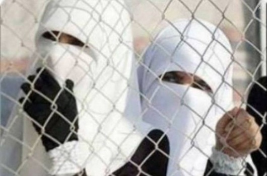 الحكم على اسيرة من قرية الجلمة شمال جنين بالسجن 5 اعوام