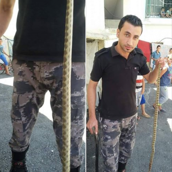 القضاء على أفعى داخل منزل في بلدة اليامون غرب جنين