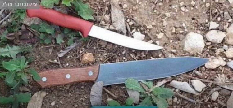 اعتقال شاب من نابلس بدعوى نيته تنفيذ عملية