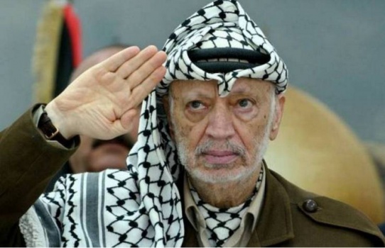 شاهد: هل يعرف الشعب العربي ابو عمار فعلاً ؟