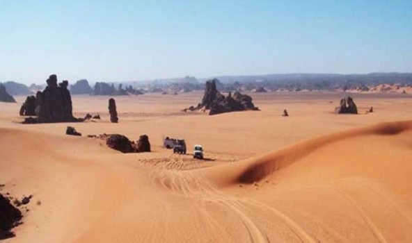 اكتشاف أقدم عظم بشري بالسعودية